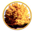 ½Ã¸ñ:ÀºÇ೪¹«