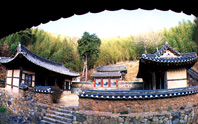 輭